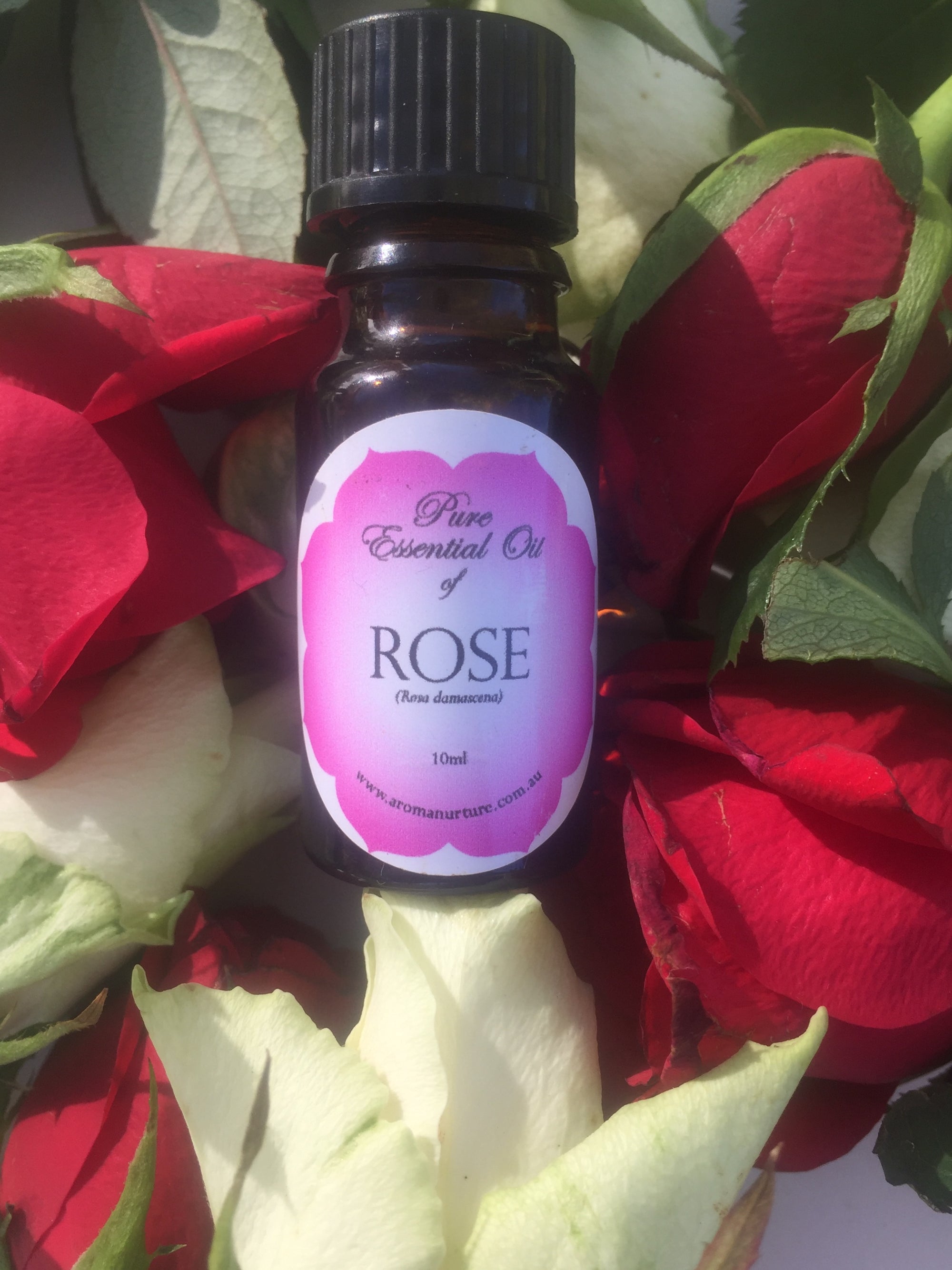 Pure Essential Oil of Rose 3% in Jojoba Oil.