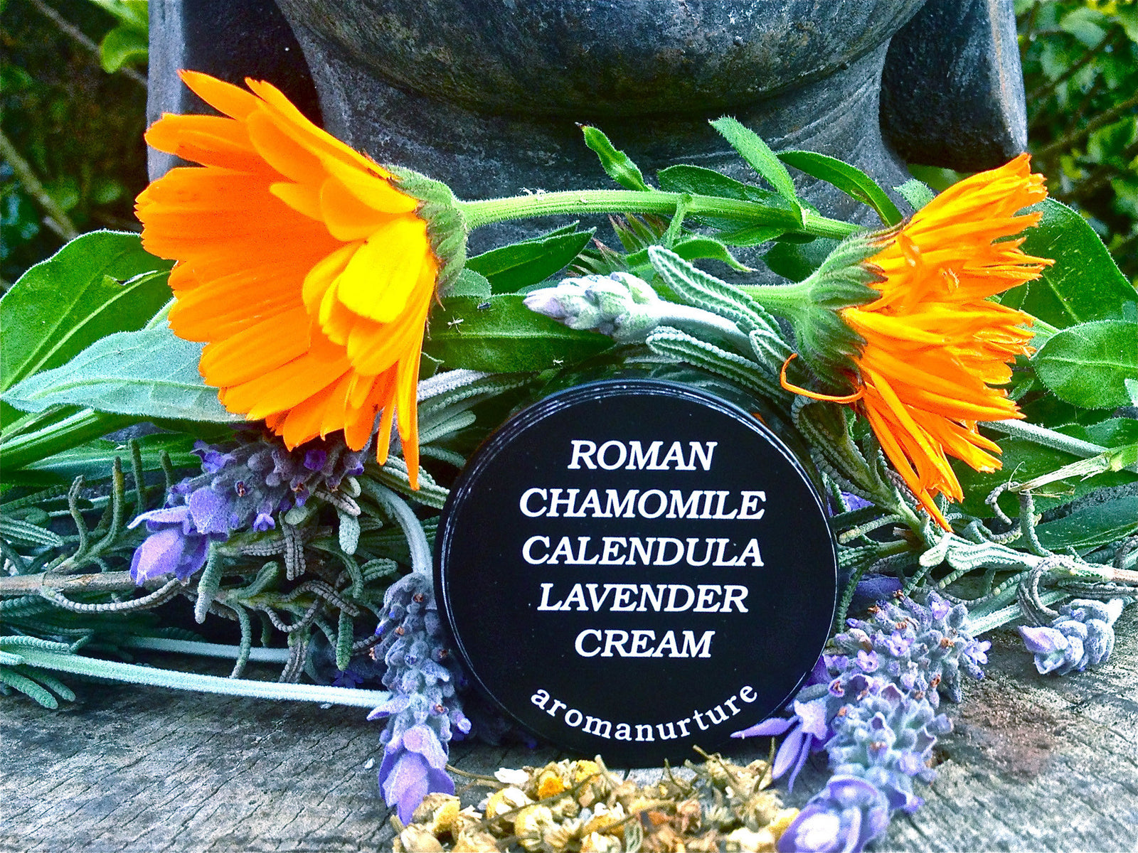 Roman Chamomile Calendula Lavender Cream