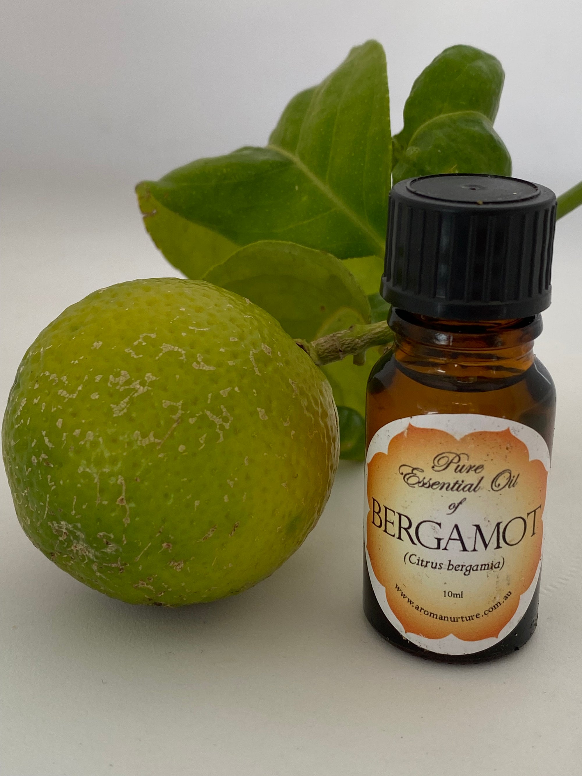 Pure essential oil of Bergamot 10mls (Citrus bergamia)