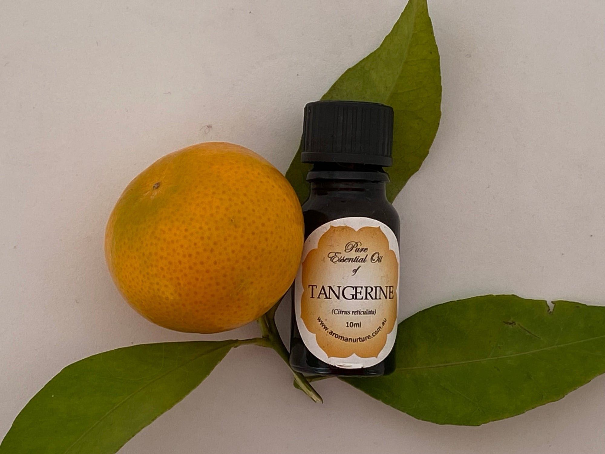 Pure Essential oil of Tangerine 10mls.(Citrus reticulata blanco).