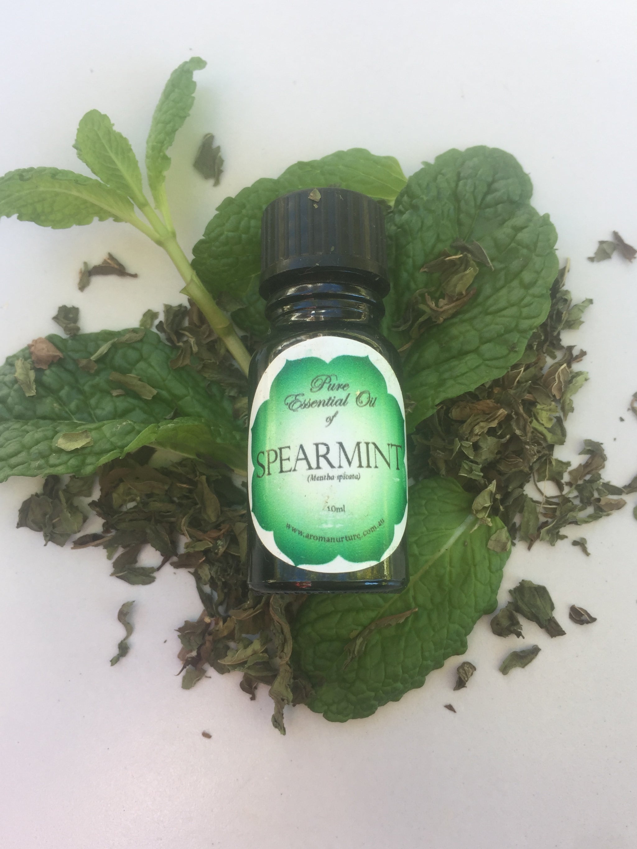 Pure Essential oil of Spearmint 10mls. (Mentha spicata).