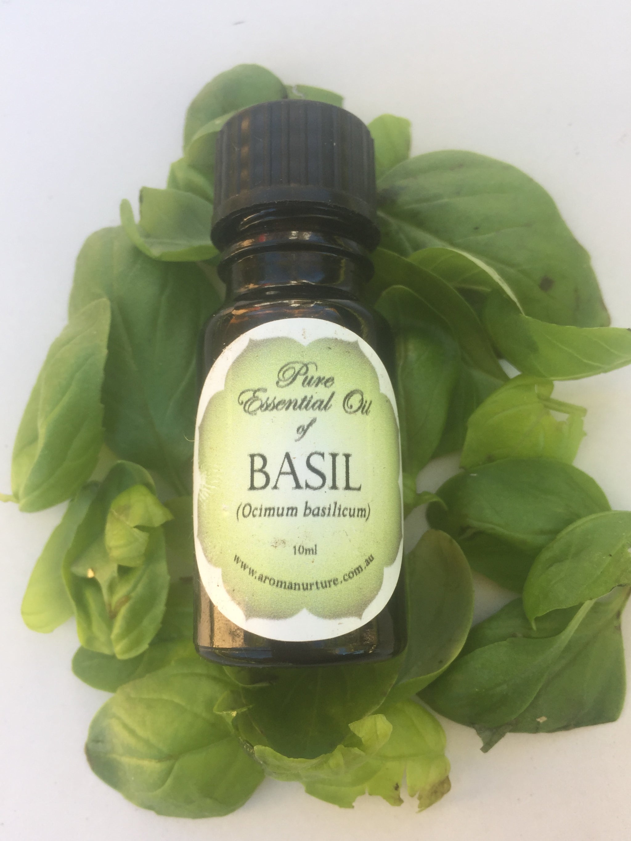 Pure essential oil of Basil 10mls.(Ocimumm basilicum)