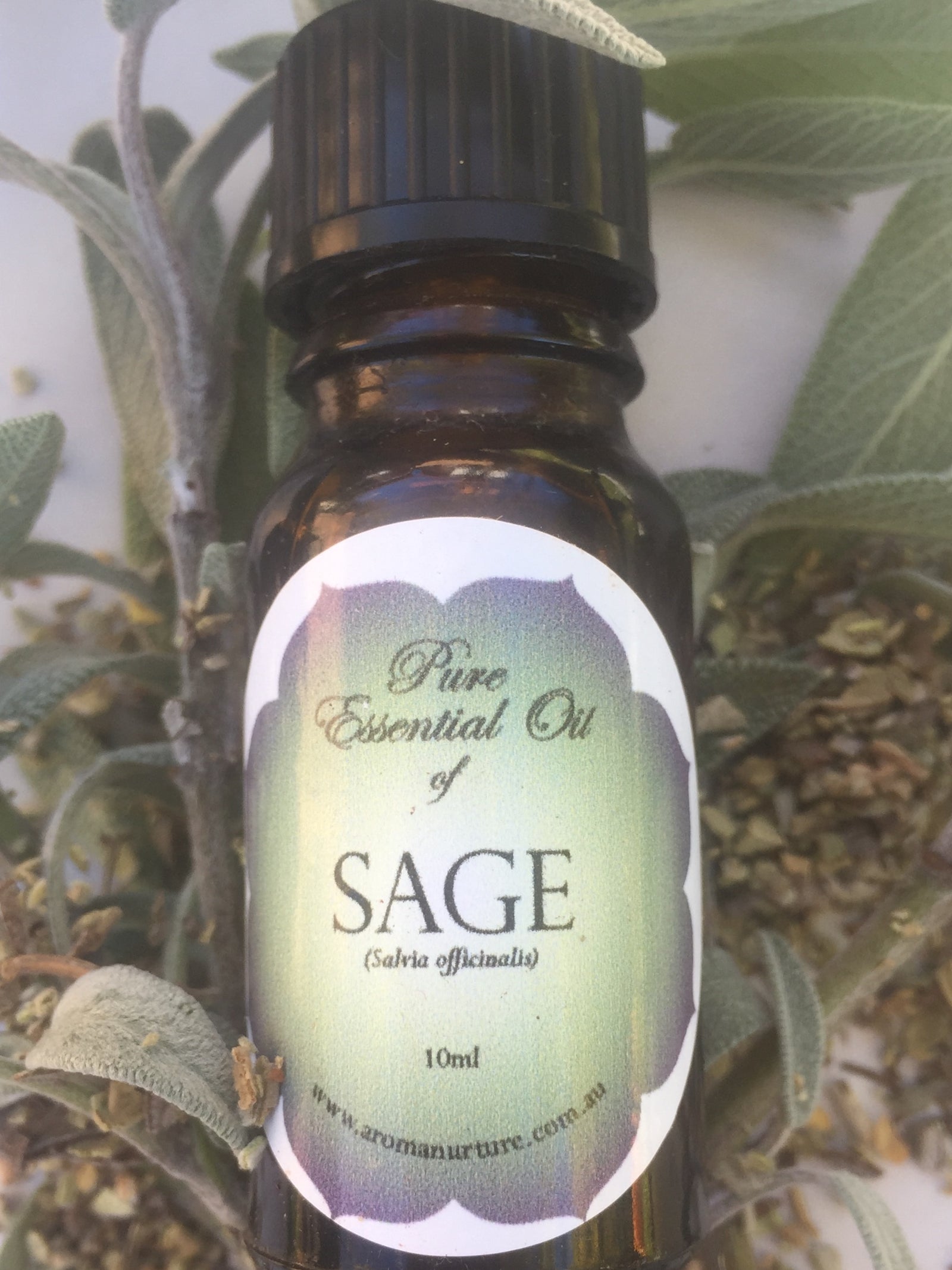Pure Essential oil of Sage 10mls.(Salvia lavendulaefolia).