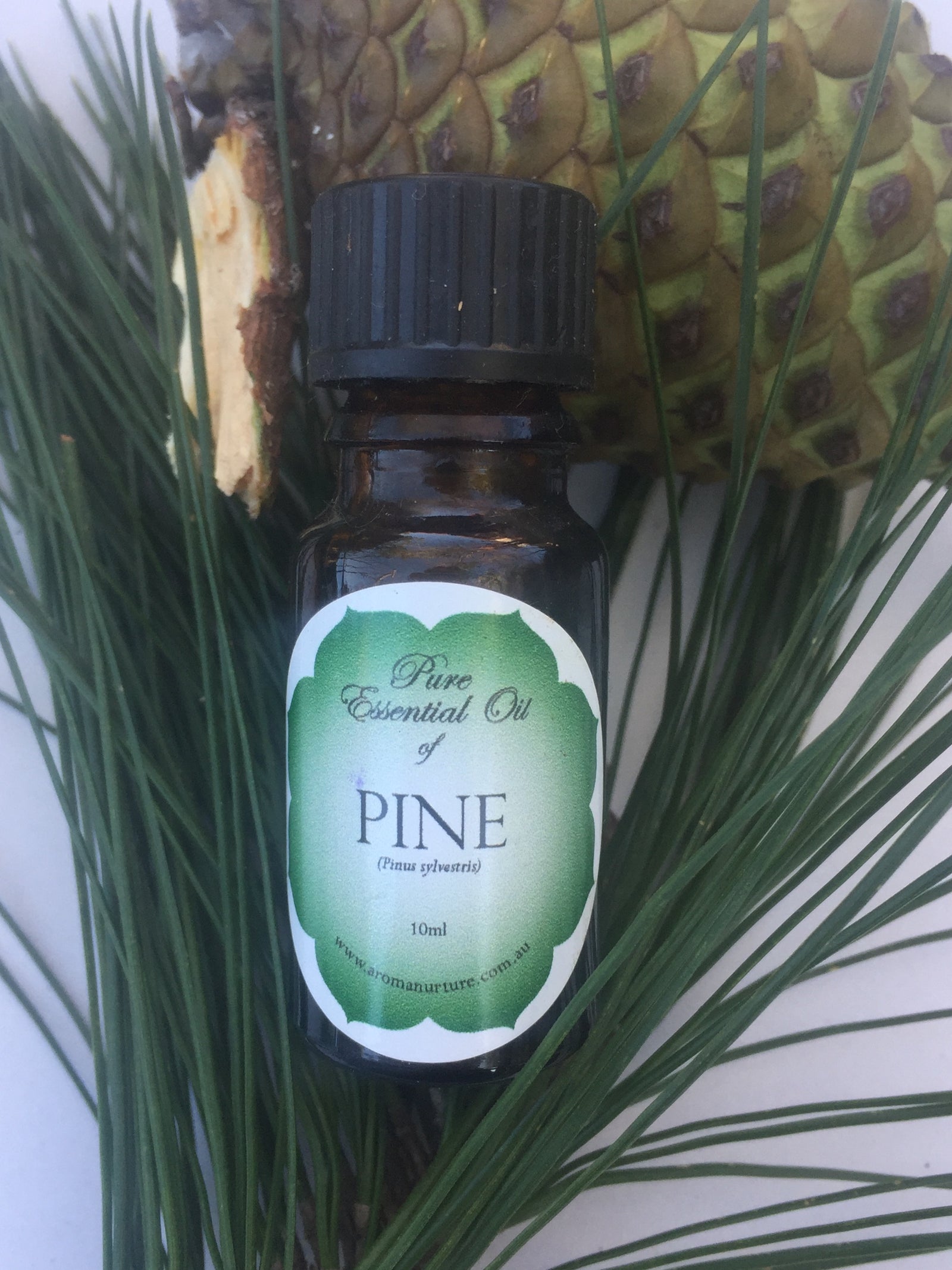 Pure Essential oil of Pine 10mls. (Pinus sylvestris).