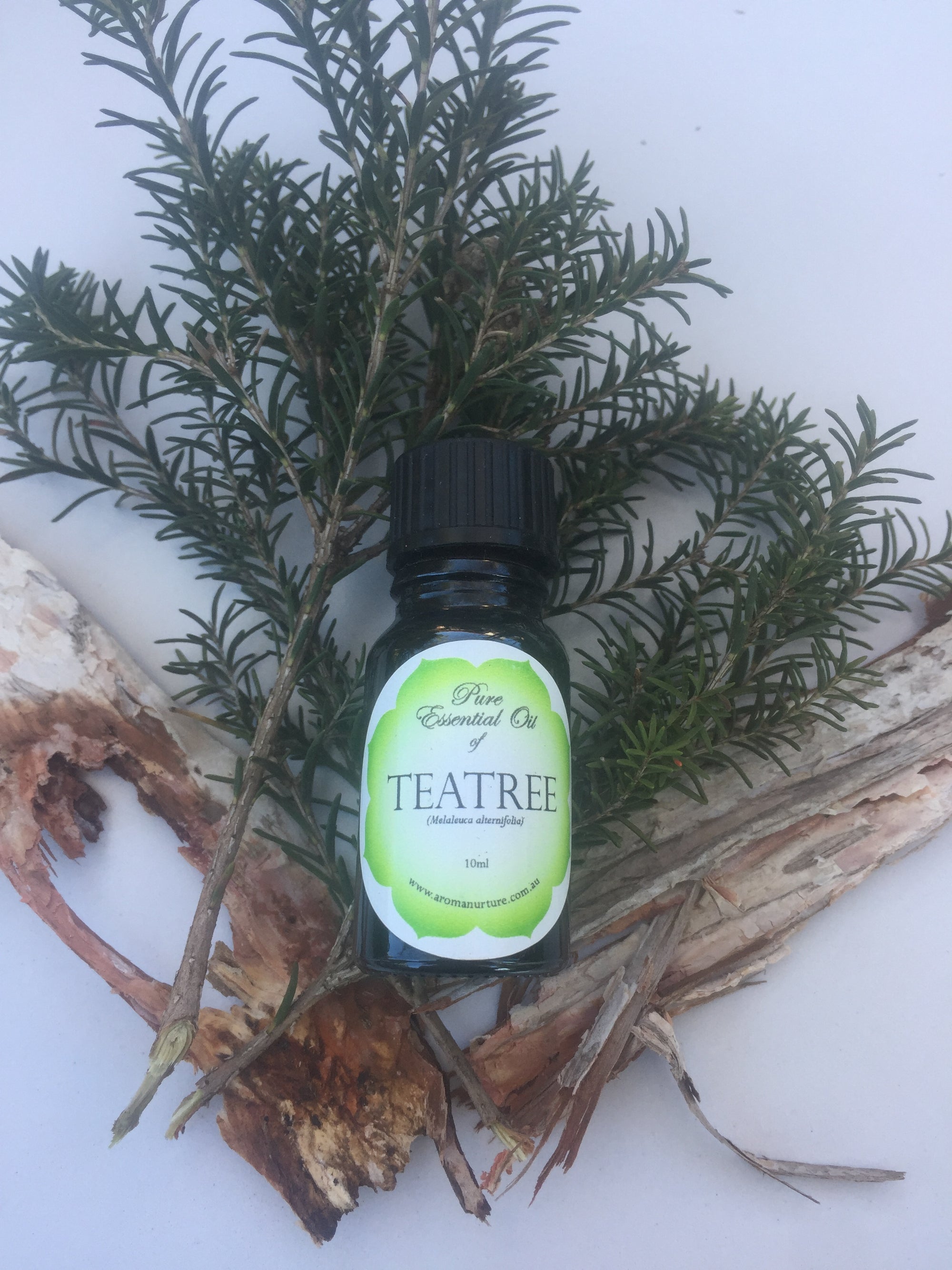 Pure Essential Oil of Teatree 10mls. (Melaleuca alternifolia).