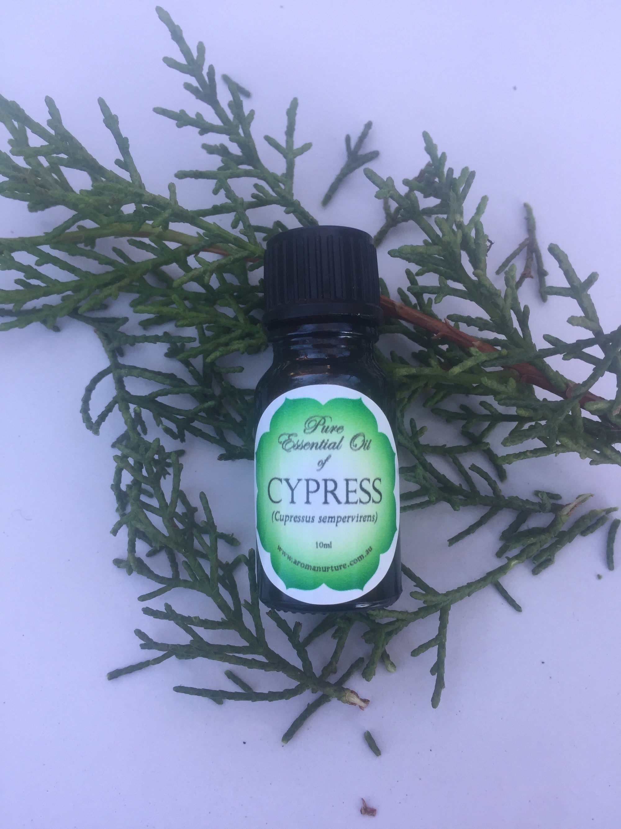 Pure essential oil of Cypress 10mls. (Cupressus sempervirens)