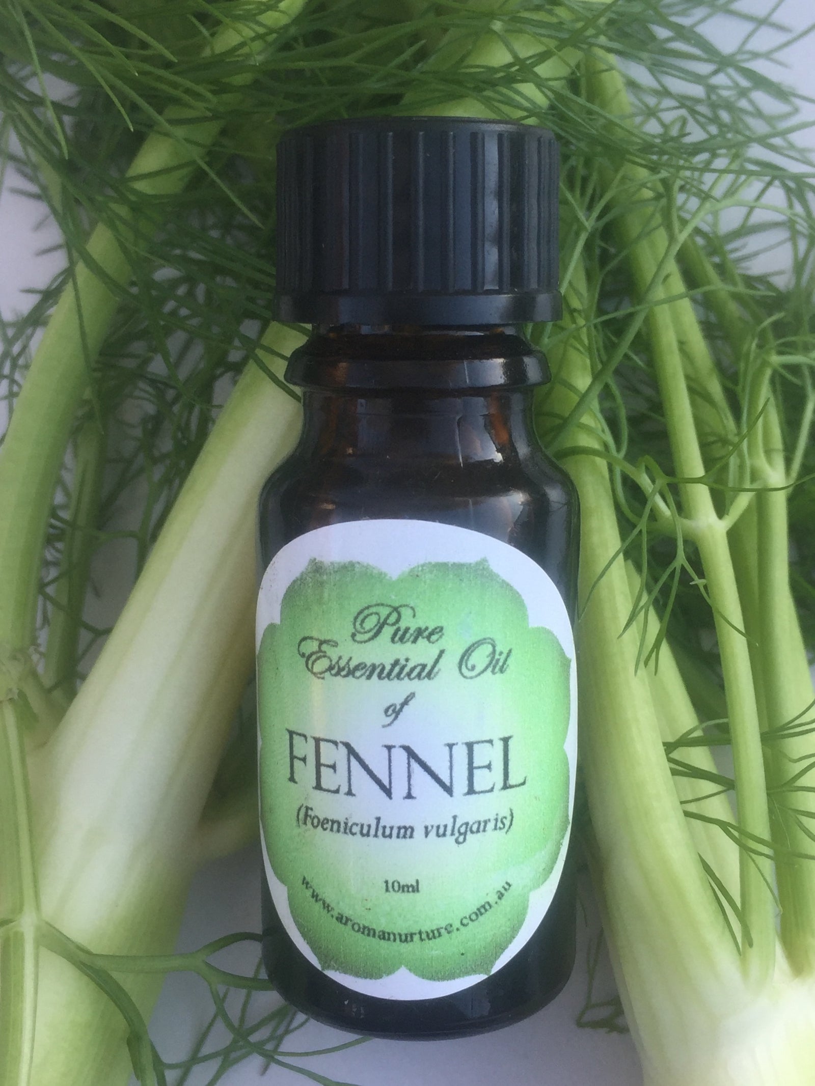 Pure essential oil of Fennel 10mls. (Foeniculum vulgare) .