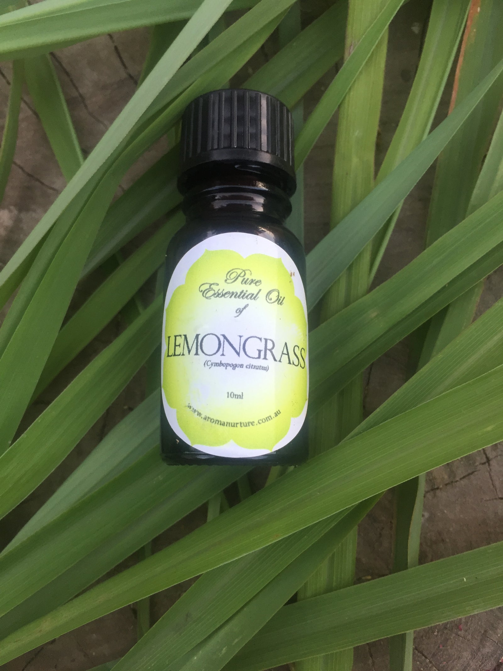 Pure essential oil of Lemongrass 10mls. (Cymbopogon citratus).