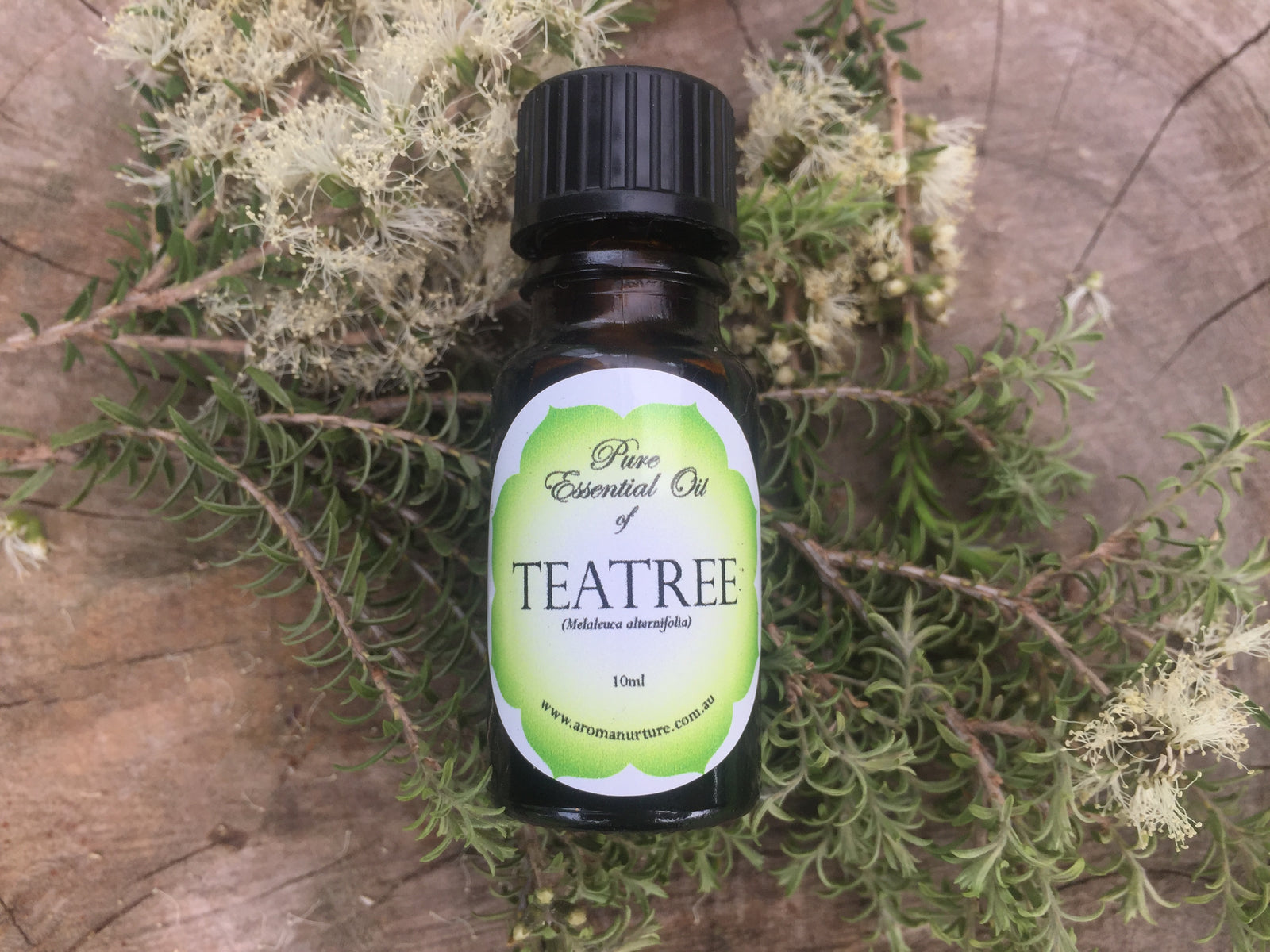 Pure Essential Oil of Teatree 10mls. (Melaleuca alternifolia).