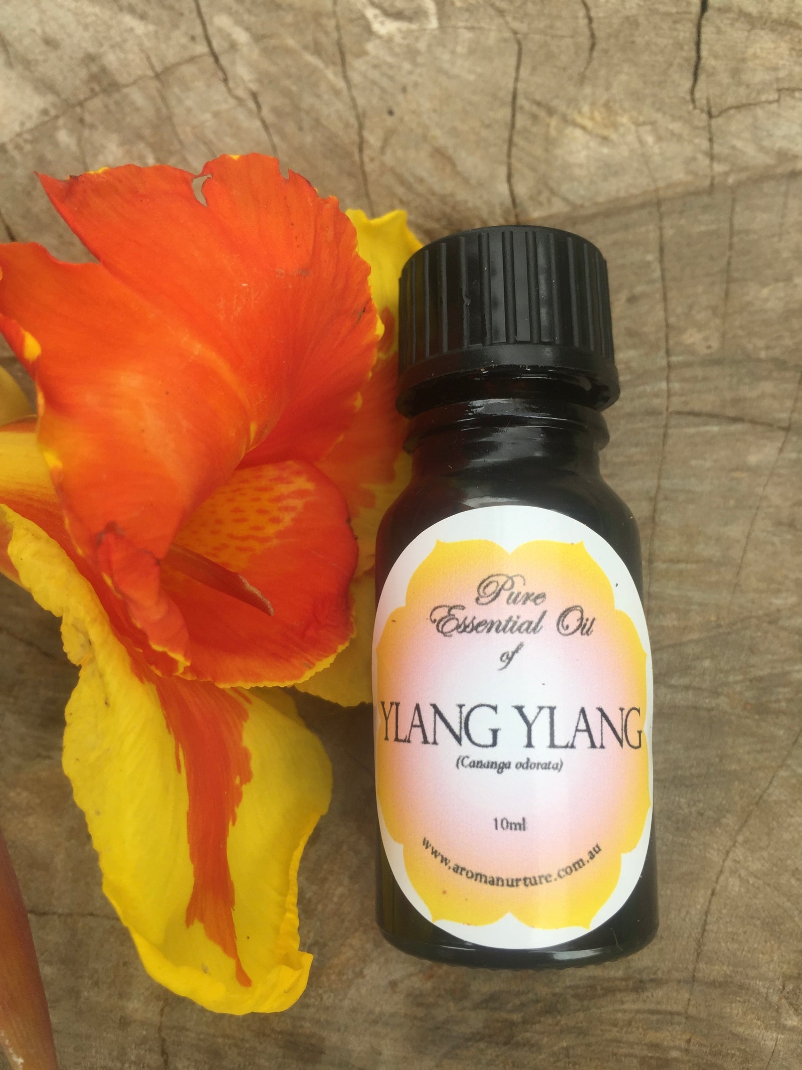 Pure Essential Oil of Ylang ylang 1st grade 10mls. (Cananga odorata).