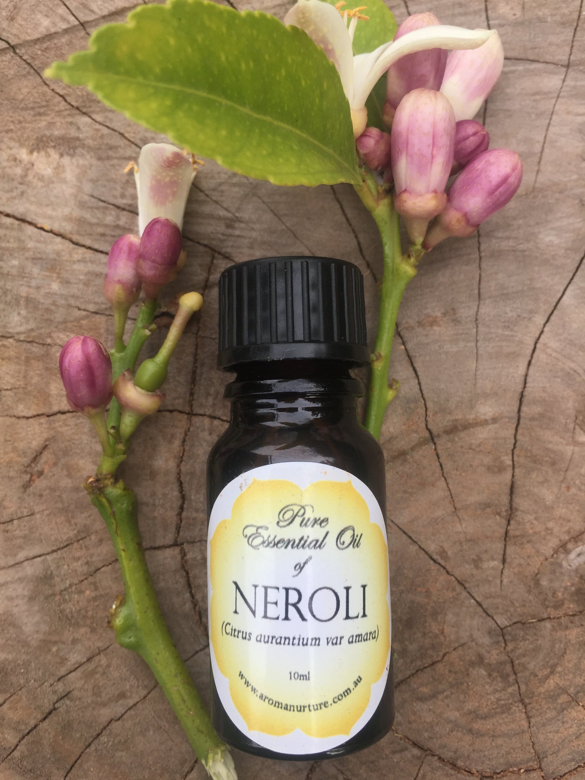 Pure Essential Oil of Neroli 10mls.(Citrus aurantium var amara) 3% in Jojoba Oil.