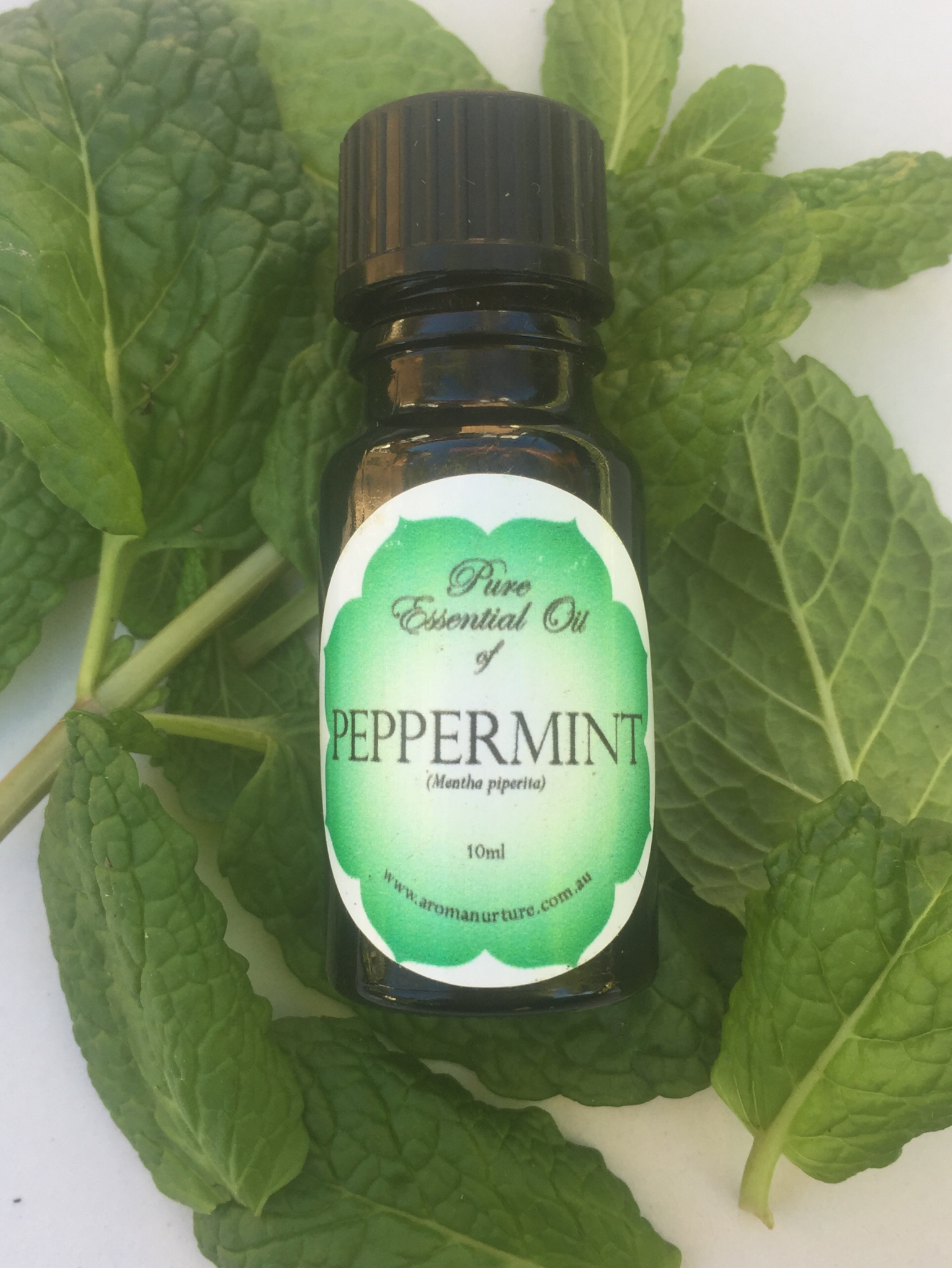 Pure Essential oil of Peppermint ( Mentha piperitum)
