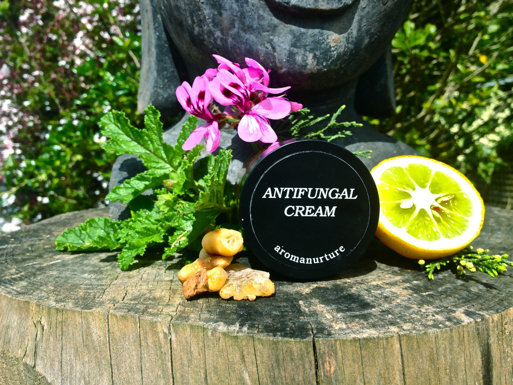 Anti Fungal Cream