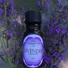 Pure essential oil of Lavender (Lavandula angustifolia) 10mls.