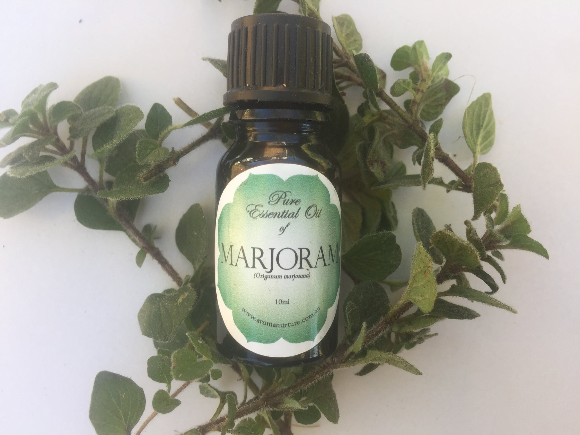 Pure Essential oil of Sweet Marjoram.(Origanum majorana))