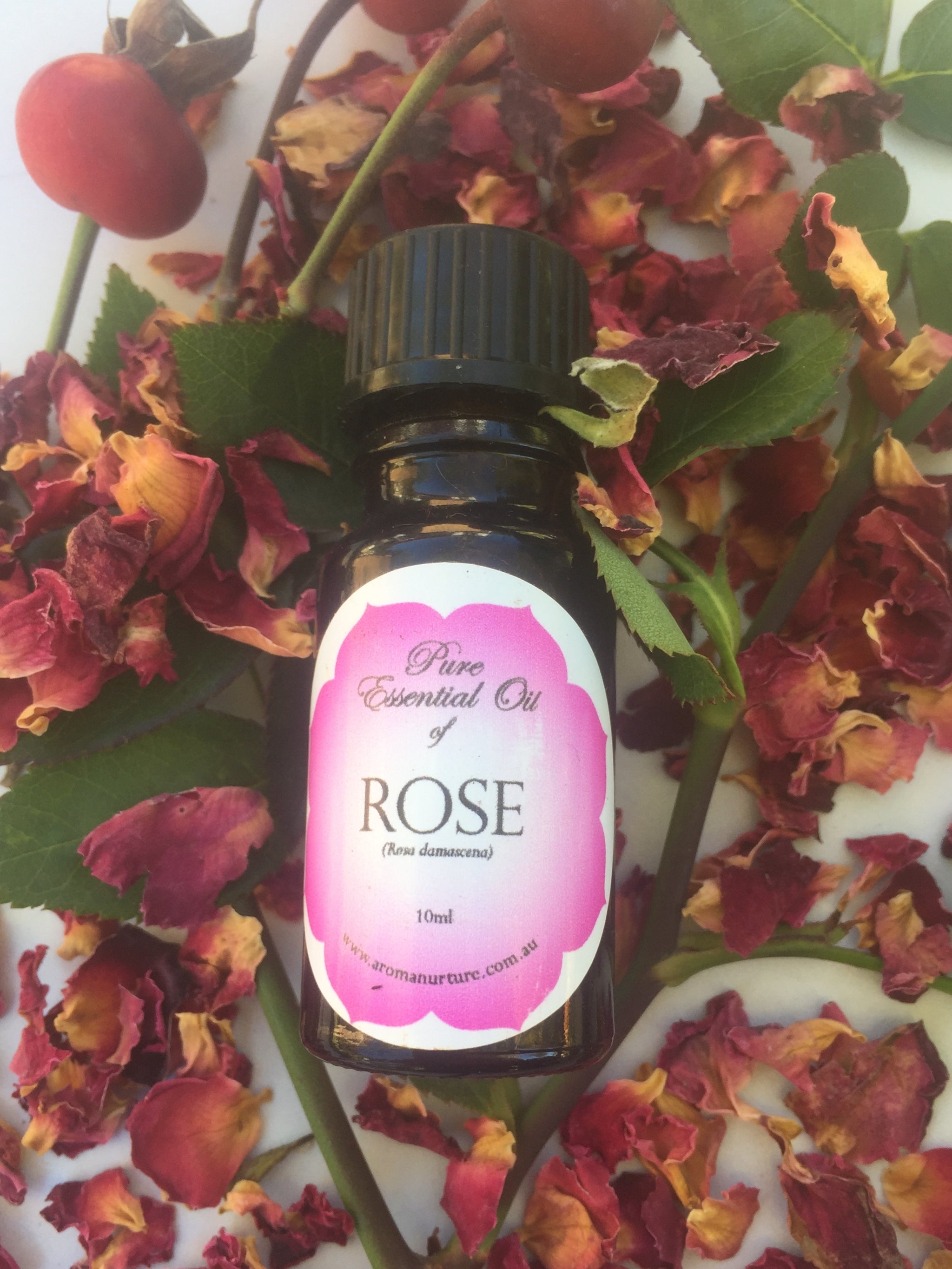 Pure Essential Oil of Rose 3% in Jojoba Oil.